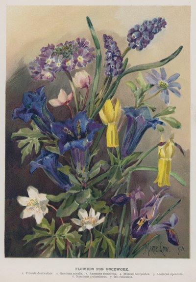 Flowers for Rockwork by Marie Low